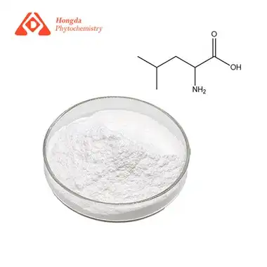 Leucine Bulk Powder